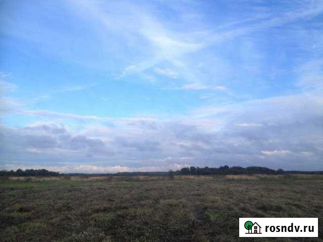 Участок СНТ, ДНП 560 сот. на продажу в Шаховской Шаховская - изображение 1