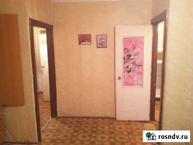 1-комнатная квартира, 29.9 м², 4/5 эт. в аренду на длительный срок в Электростали Электросталь - изображение 1