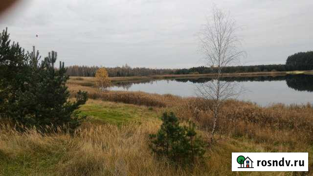 Дом 44 м² на участке 22 сот. на продажу в Шилово Шилово - изображение 1