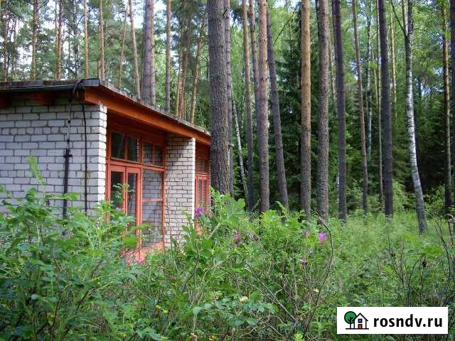 Участок ИЖС 520 сот. на продажу в Гавриловом-Яме Гаврилов-Ям - изображение 1