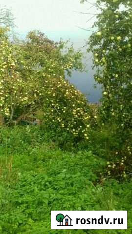 Участок ИЖС 32 сот. на продажу в Рамешках Рамешки - изображение 1