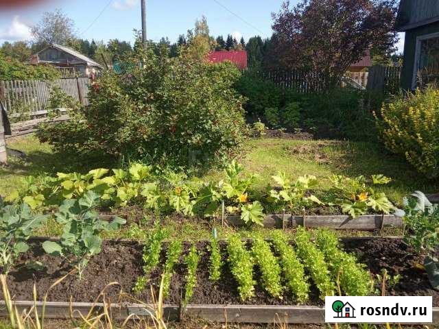 Дача 36 м² на участке 5.5 сот. на продажу в Сыктывкаре Сыктывкар - изображение 1