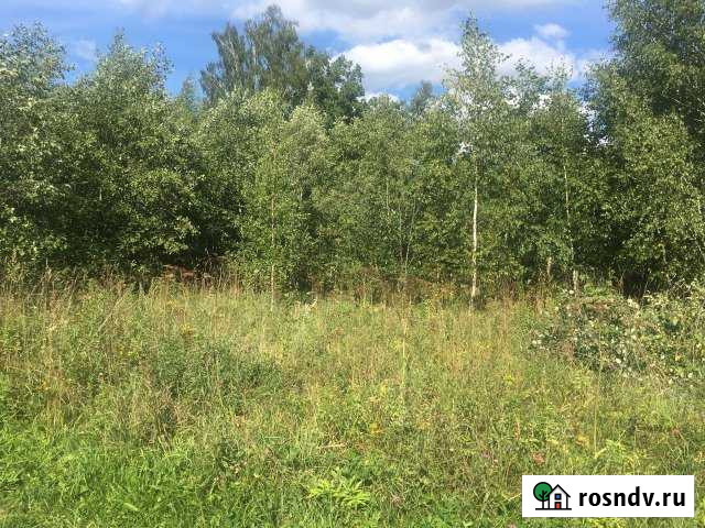 Участок ИЖС 24 сот. на продажу в Новопетровском Новопетровское - изображение 1