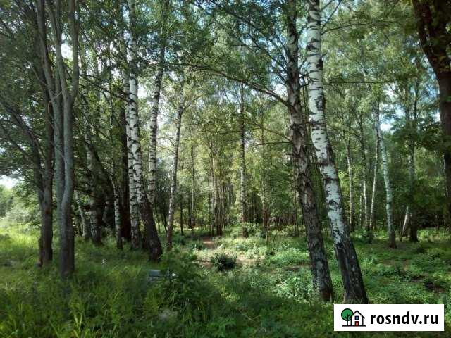 Участок СНТ, ДНП 25 сот. на продажу в Волоколамске Волоколамск - изображение 1