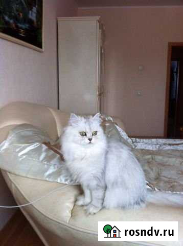 4-комнатная квартира, 120 м², 8/9 эт. на продажу в Магадане Магадан - изображение 1