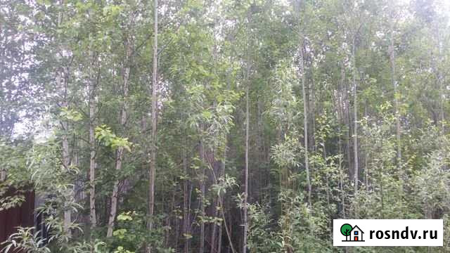 Участок СНТ, ДНП 10 сот. на продажу в Ханты-Мансийске Ханты-Мансийск - изображение 1