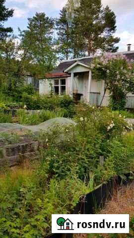 Дача 50 м² на участке 12 сот. на продажу в Березниках Березники - изображение 1