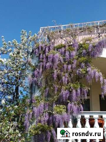 Дом 200 м² на участке 7 сот. в аренду на длительный срок в Севастополе Севастополь - изображение 1