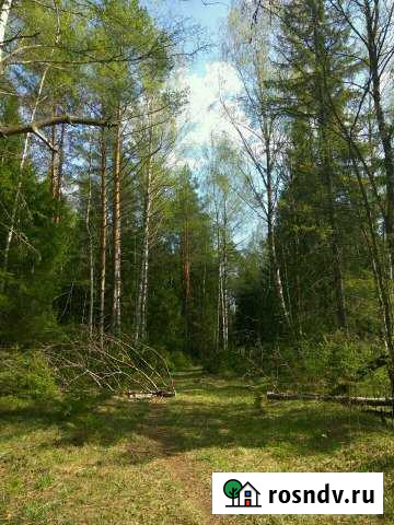 Дача 20 м² на участке 20 сот. на продажу в Красных Ткачах Красные Ткачи - изображение 1