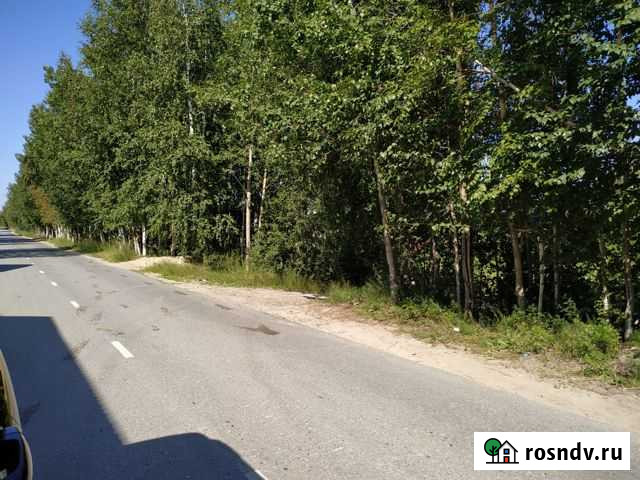 Участок СНТ, ДНП 15 сот. на продажу в Мегионе Мегион - изображение 1