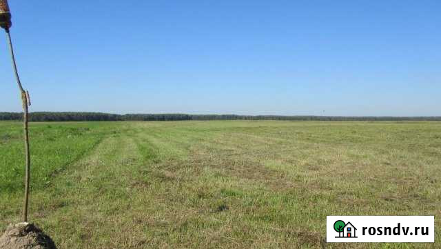 Участок СНТ, ДНП 274 сот. на продажу в Коломне Коломна - изображение 1