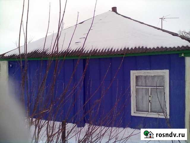 Дом 75 м² на участке 40 сот. на продажу в Каменке Воронежской области Каменка - изображение 1