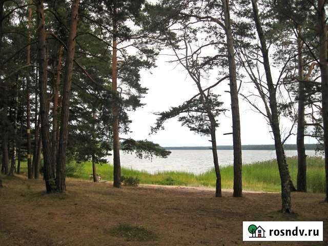 Участок СНТ, ДНП 88 сот. на продажу в Каменке Ленинградской области Каменка - изображение 1