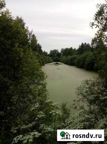 Участок СНТ, ДНП 430 сот. на продажу в Егорьевске Егорьевск - изображение 1