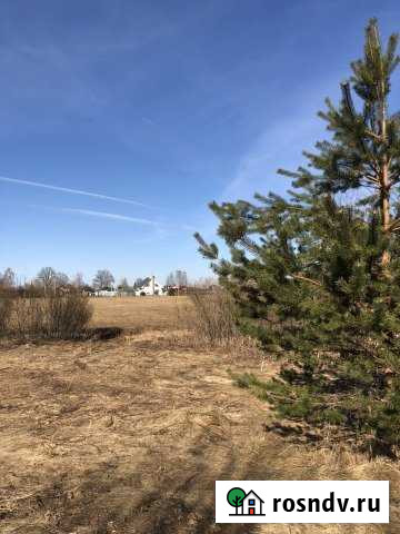 Участок ИЖС 500 сот. на продажу в Толмачево Ленинградской области Толмачево - изображение 1