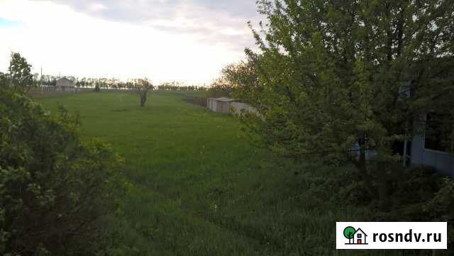 Участок ИЖС 20 сот. на продажу в Томаровке Томаровка - изображение 1