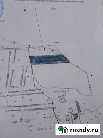 Участок СНТ, ДНП 417 сот. на продажу в Николо-Павловском Николо-Павловское - изображение 1