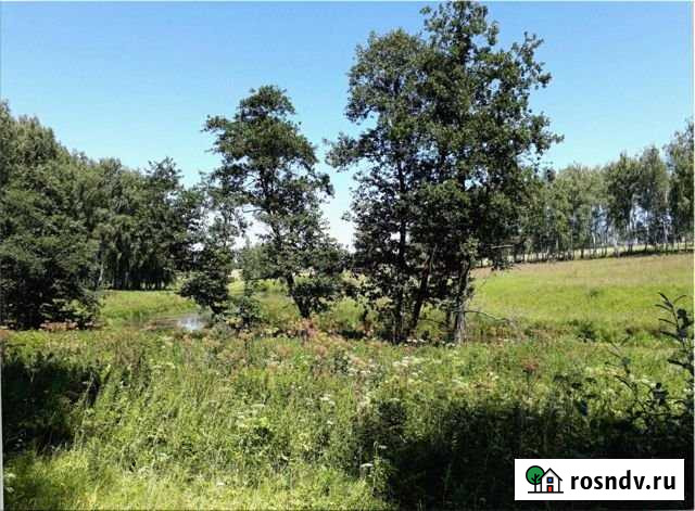 Участок ИЖС 8 сот. на продажу в Любучанах Любучаны - изображение 1