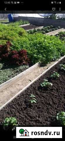 Участок СНТ, ДНП 8 сот. на продажу в Ангарске Ангарск - изображение 1