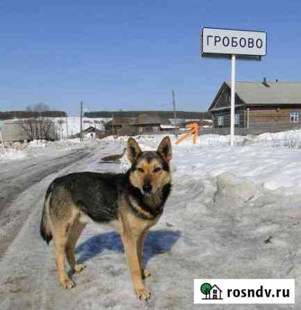 Участок ИЖС 13 сот. на продажу в Кунгуре Кунгур