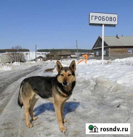 Участок ИЖС 13 сот. на продажу в Кунгуре Кунгур - изображение 1