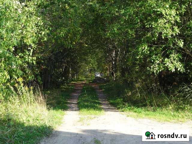 Участок СНТ, ДНП 9 сот. на продажу в Волхове Волхов - изображение 1