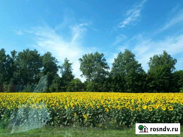 Участок ИЖС 10 сот. на продажу в Саранске Саранск - изображение 1