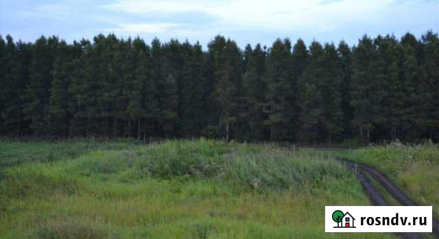 Участок СНТ, ДНП 500 сот. на продажу в Новом Буяне Новый Буян - изображение 1