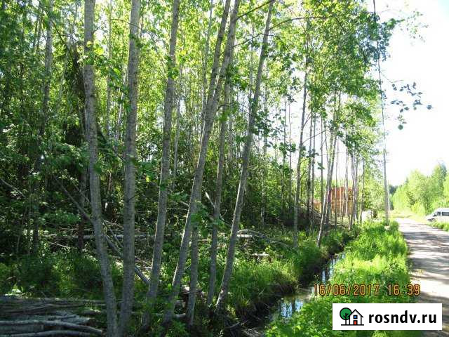 Участок СНТ, ДНП 10 сот. на продажу в Любане Любань - изображение 1