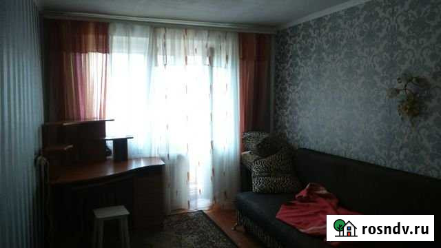 2-комнатная квартира, 46 м², 4/5 эт. в аренду на длительный срок в Александрове Александров - изображение 1