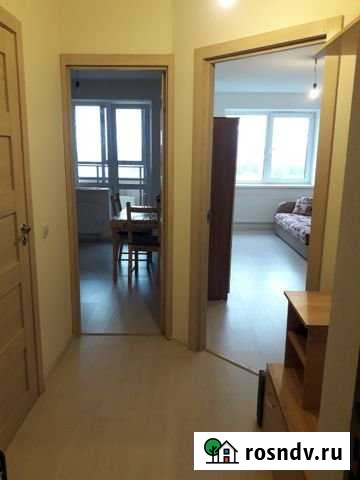 Комната 17 м² в 1-ком. кв., 14/17 эт. в аренду на длительный срок в Буграх Бугры - изображение 1