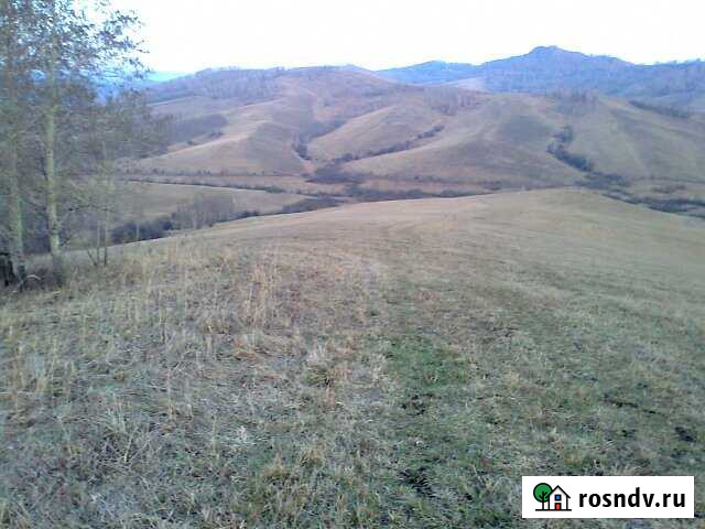 Участок СНТ, ДНП 300 сот. на продажу в Горно-Алтайске Горно-Алтайск - изображение 1