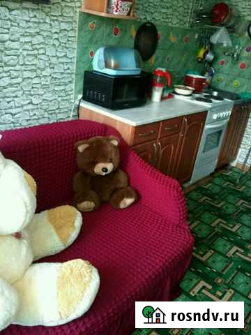 Комната 15 м² в 1-ком. кв., 5/5 эт. в аренду посуточно в Перми Пермь - изображение 1