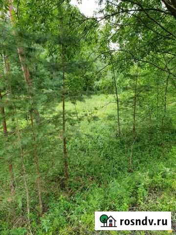 Участок СНТ, ДНП 270 сот. на продажу в Опочке Опочка - изображение 1