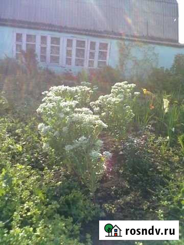 Дача 65 м² на участке 13 сот. на продажу в Ленинске-Кузнецком Ленинск-Кузнецкий - изображение 1