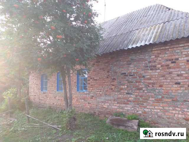 Дом 36 м² на участке 40 сот. на продажу в Тербунах Тербуны - изображение 1