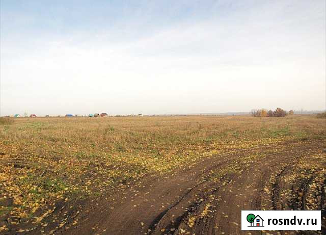 Участок СНТ, ДНП 250 сот. на продажу в Белореченске Белореченск - изображение 1