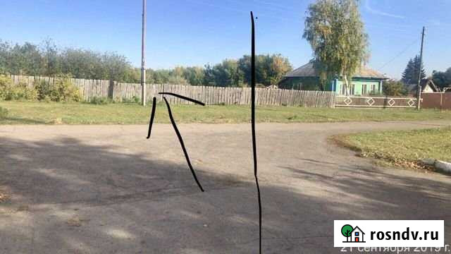 Участок ИЖС 13 сот. на продажу в Павловске Алтайского края Павловск - изображение 1