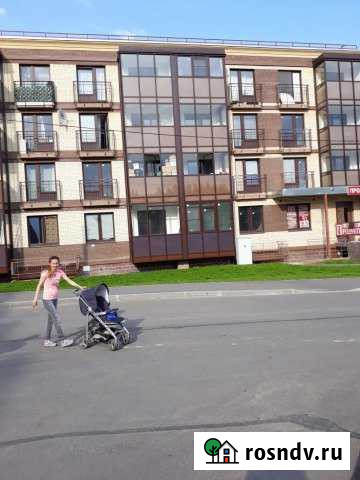 Квартира-студия, 23 м², 4/4 эт. на продажу в Сертолово Сертолово - изображение 1