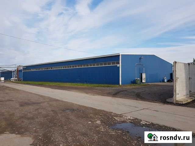 Производственное помещение, 1000 кв.м. Колпино - изображение 1