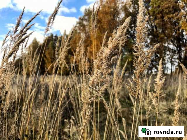 Участок ИЖС 5 сот. на продажу в Пестрецах Пестрецы - изображение 1