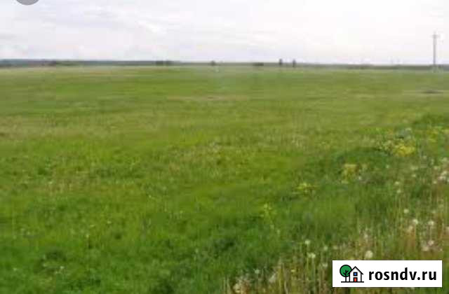 Участок СНТ, ДНП 500 сот. в аренду в Приладожском Приладожский - изображение 1