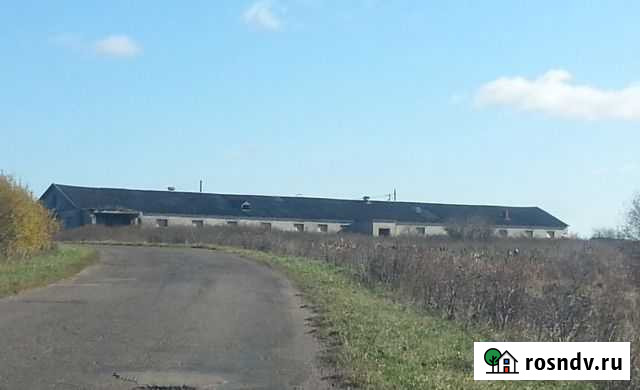 Участок СНТ, ДНП 8000 сот. на продажу в Спирово Спирово - изображение 1