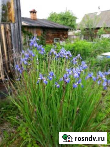 Дача 50 м² на участке 4 сот. на продажу в Воткинске Воткинск - изображение 1