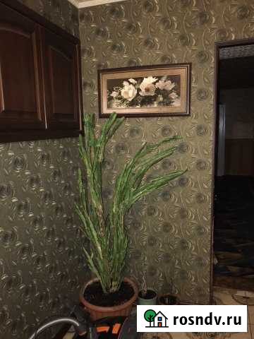 3-комнатная квартира, 70 м², 4/9 эт. в аренду посуточно в Абакане Абакан - изображение 1