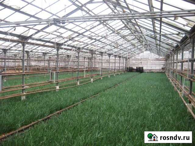 Помещение свободного назначения, 1022 кв.м. Малаховка - изображение 1