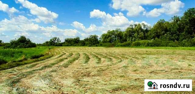 Участок СНТ, ДНП 100000 сот. на продажу в Заплавном Заплавное - изображение 1