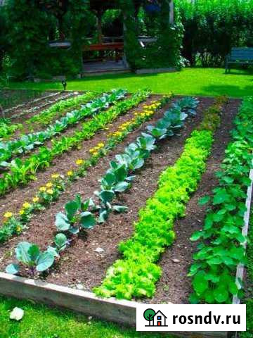 Участок СНТ, ДНП 12 сот. на продажу в Нижнекамске Нижнекамск - изображение 1