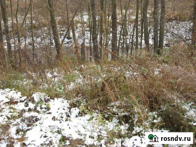 Участок ИЖС 30 сот. на продажу в Лысково Лысково - изображение 1