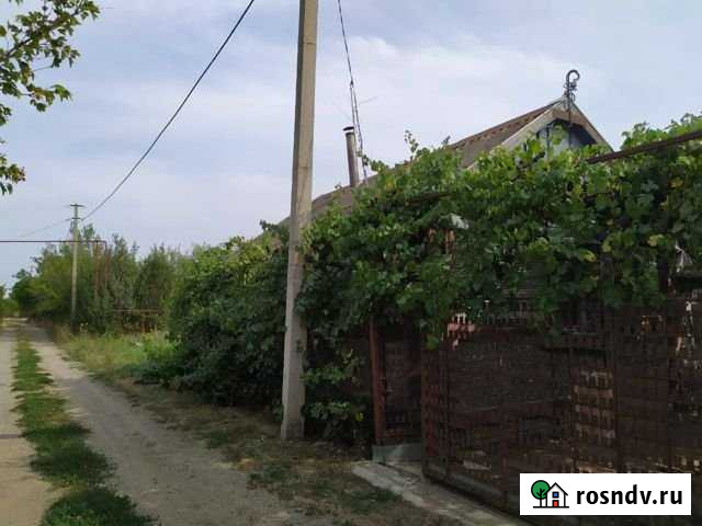 Дача 40 м² на участке 5 сот. на продажу в Дёмино Дёмино - изображение 1